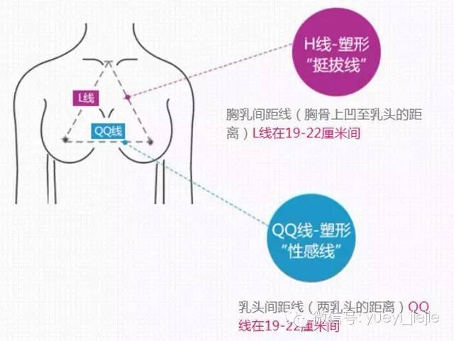 完美胸型标准是什么样的及示意图 从e罩杯柳岩开讲