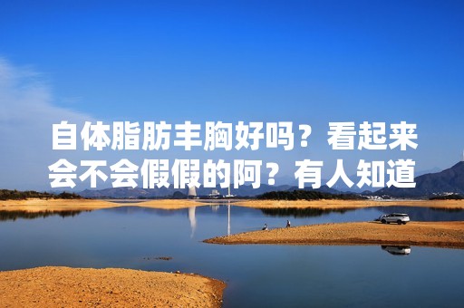 自体脂肪丰胸好吗？看起来会不会假假的阿？有人知道吗？