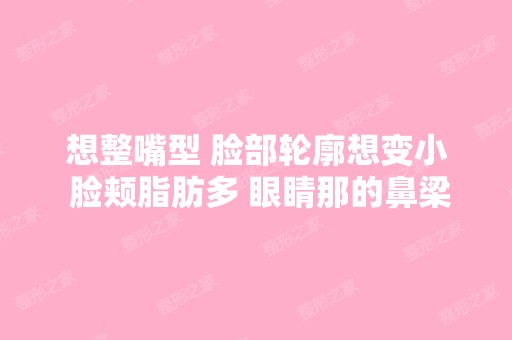 想整嘴型 脸部轮廓想变小 脸颊脂肪多 眼睛那的鼻梁需不需要垫高 下巴...