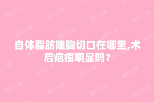 自体脂肪隆胸切口在哪里,术后疤痕明显吗？