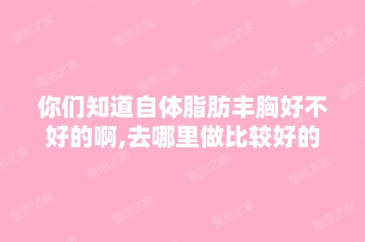 你们知道自体脂肪丰胸好不好的啊,去哪里做比较好的？