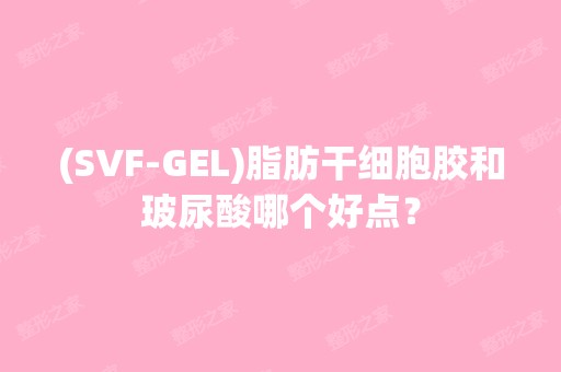 (SVF-GEL)脂肪胶和玻尿酸哪个好点？