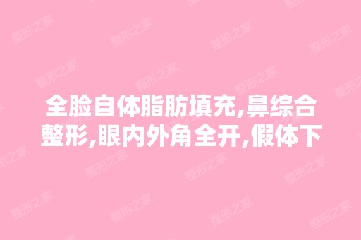 全脸自体脂肪填充,鼻综合整形,眼内外角全开,假体下巴,一共要15...