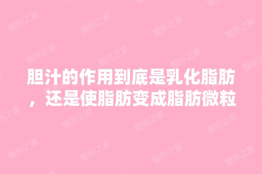 胆汁的作用到底是乳化脂肪，还是使脂肪变成脂肪微粒？