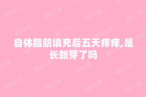 自体脂肪填充后五天痒痒,是长新芽了吗