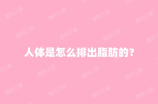 人体是怎么排出脂肪的？