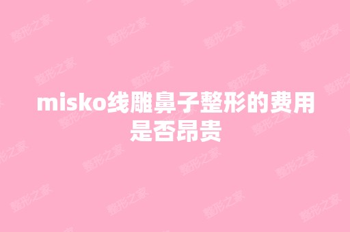 misko鼻子整形的费用是否昂贵