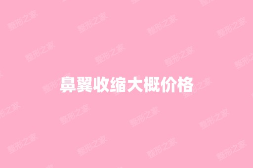 鼻翼收缩大概价格