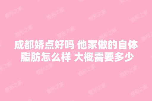 成都娇点好吗 他家做的自体 脂肪怎么样 大概需要多少钱呢