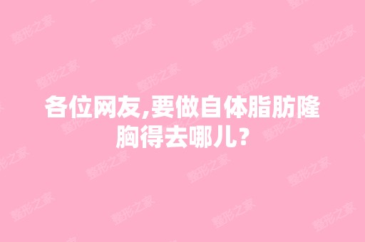 各位网友,要做自体脂肪隆胸得去哪儿？