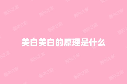 美白美白的原理是什么