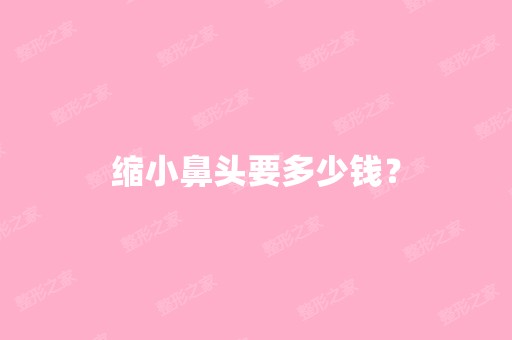 缩小鼻头要多少钱？