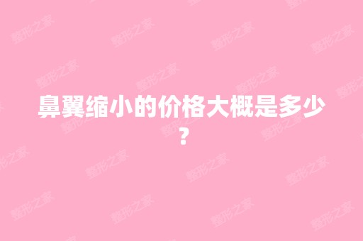 鼻翼缩小的价格大概是多少？