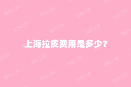 上海拉皮费用是多少？