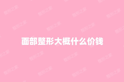 面部整形大概什么价钱