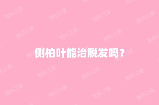 侧柏叶能治脱发吗？