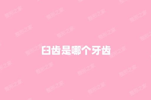 臼齿是哪个牙齿