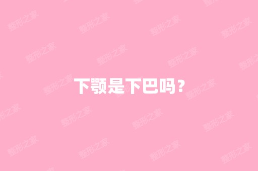 下颚是下巴吗？