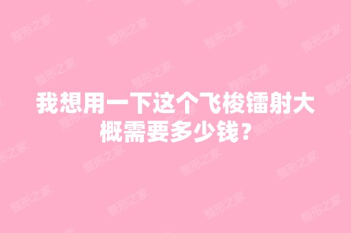 我想用一下这个飞梭镭射大概需要多少钱？