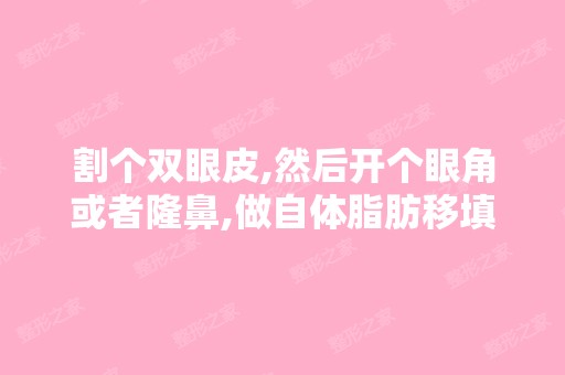 割个双眼皮,然后开个眼角或者隆鼻,做自体脂肪移填充,会不会很有...