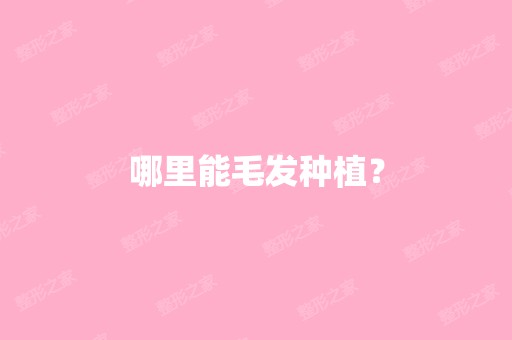 哪里能毛发种植？