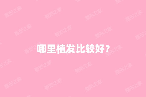 哪里植发比较好？