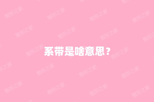 系带是啥意思？