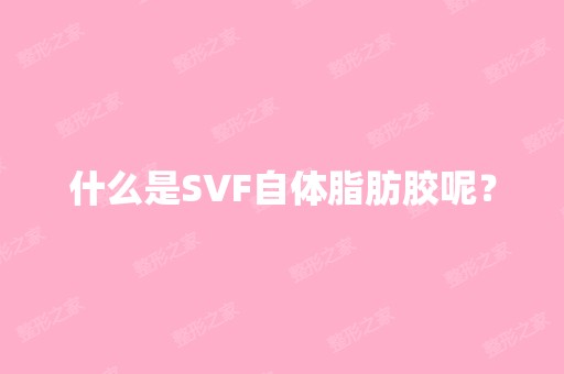 什么是SVF自体脂肪胶呢？