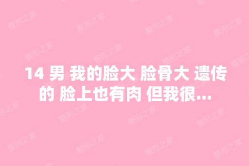 14 男 我的脸大 脸骨大 遗传的 脸上也有肉 但我很...