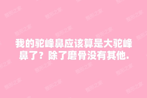 我的驼峰鼻应该算是大驼峰鼻了？除了磨骨没有其他...