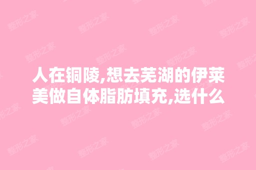 人在铜陵,想去芜湖的伊莱美做自体脂肪填充,选什么路线好？