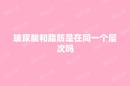 玻尿酸和脂肪是在同一个层次吗