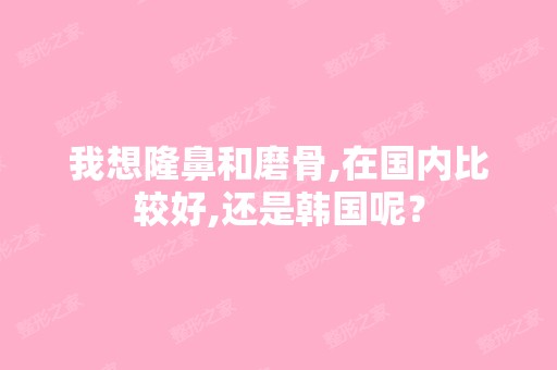 我想隆鼻和磨骨,在国内比较好,还是韩国呢？