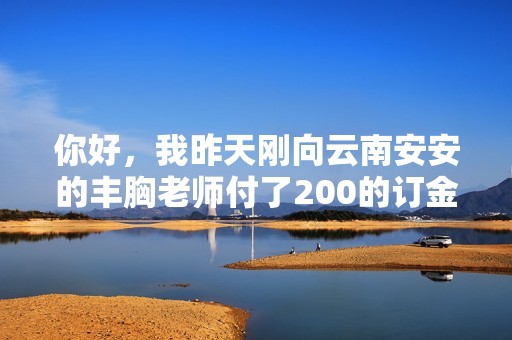 你好，我昨天刚向云南安安的丰胸老师付了200的订金...