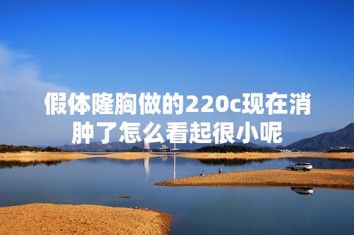 假体隆胸做的220c现在消肿了怎么看起很小呢