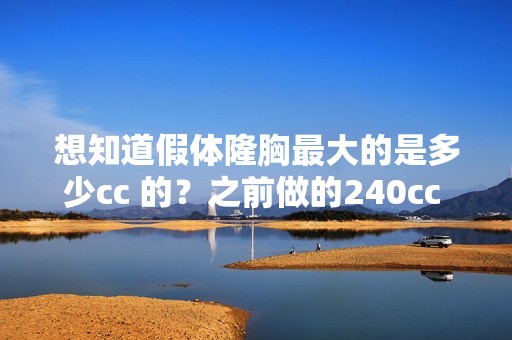 想知道假体隆胸比较大的是多少cc 的？之前做的240cc ...