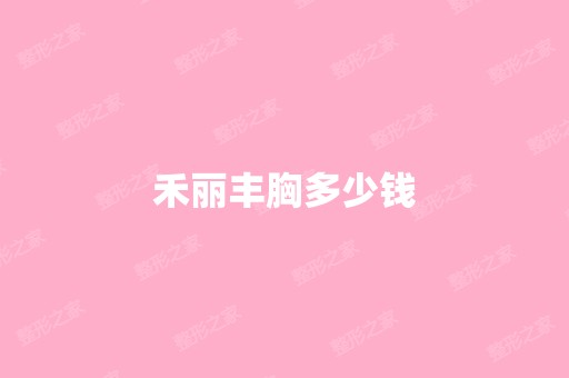 禾丽丰胸多少钱