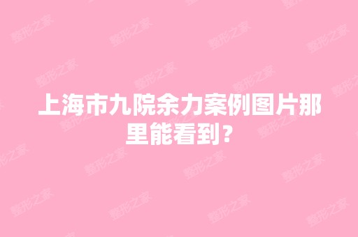 上海市九院余力案例图片那里能看到？