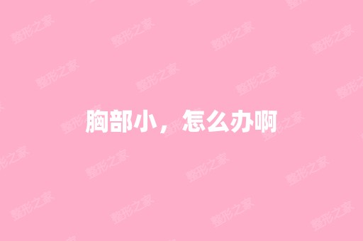 胸部小，怎么办啊