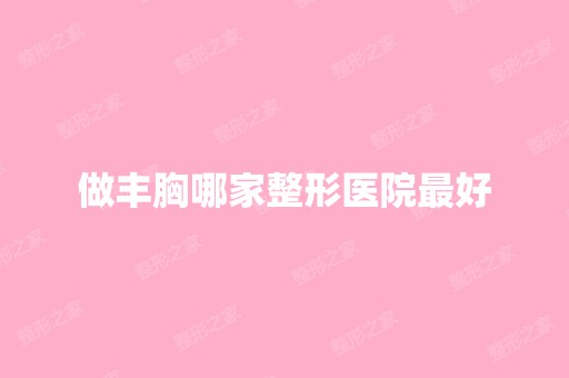 做丰胸哪家整形医院比较好