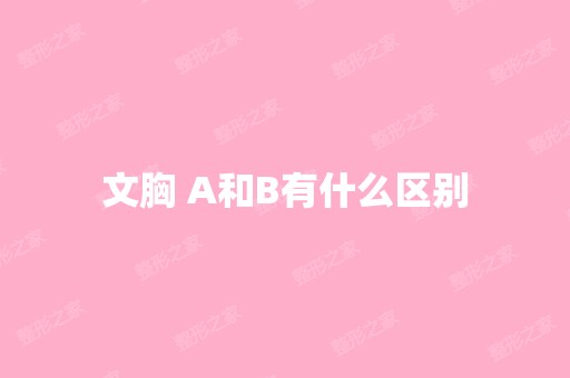 文胸 A和B有什么区别