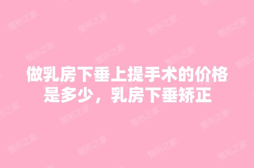 做乳房下垂上提手术的价格是多少，乳房下垂矫正