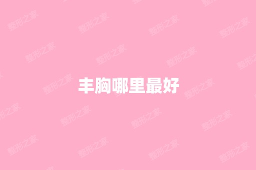 丰胸哪里比较好