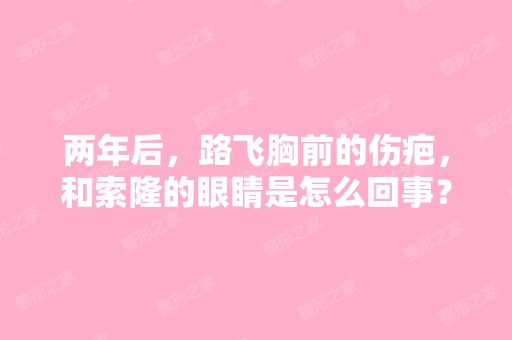 两年后，路飞胸前的伤疤，和索隆的眼睛是怎么回事？