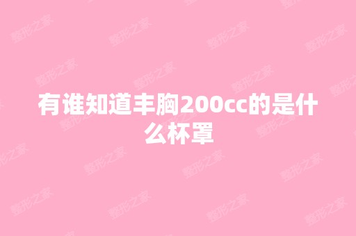 有谁知道丰胸200cc的是什么杯罩