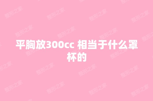 平胸放300cc 相当于什么罩杯的