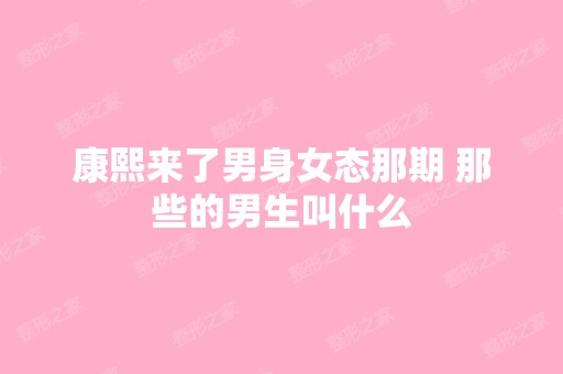 康熙来了男身女态那期 那些的男生叫什么