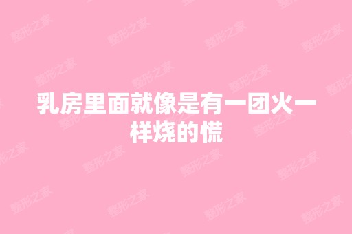 乳房里面就像是有一团火一样烧的慌