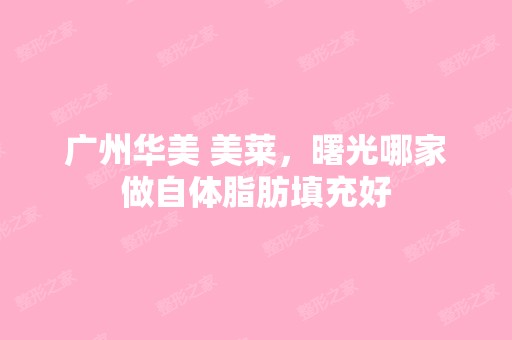 广州华美 美莱，曙光哪家做自体脂肪填充好