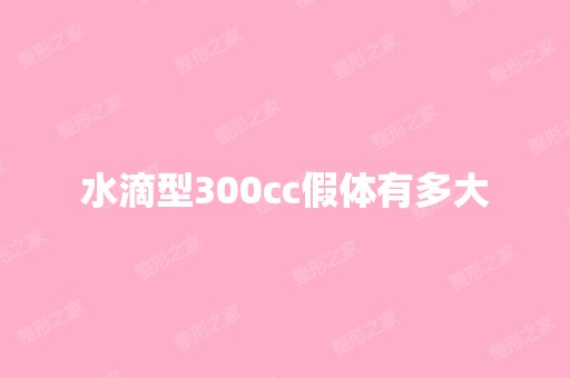 水滴型300cc假体有多大